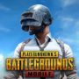 Профиль Pubg mobile